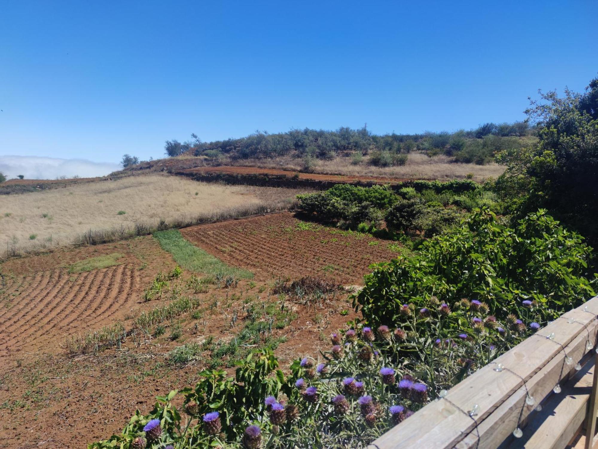 Finca El Cercadillo Gáldar Eksteriør billede